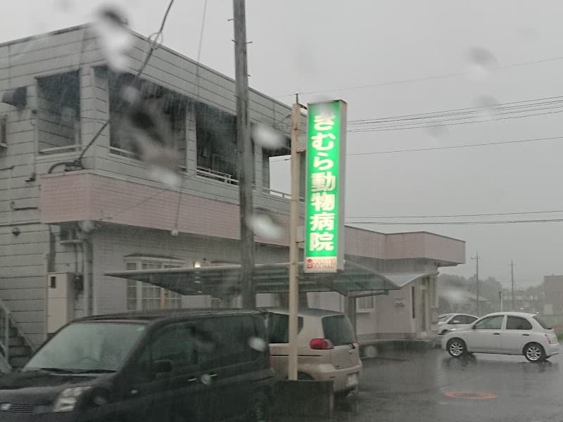 きむら動物病院