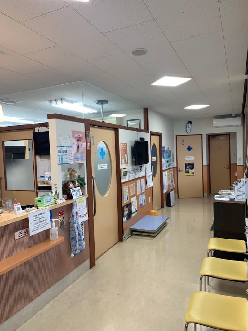 あおぞら動物病院