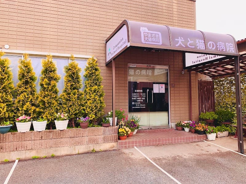 やまざき犬猫病院