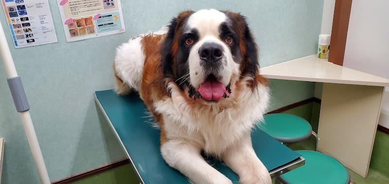 はまの動物病院