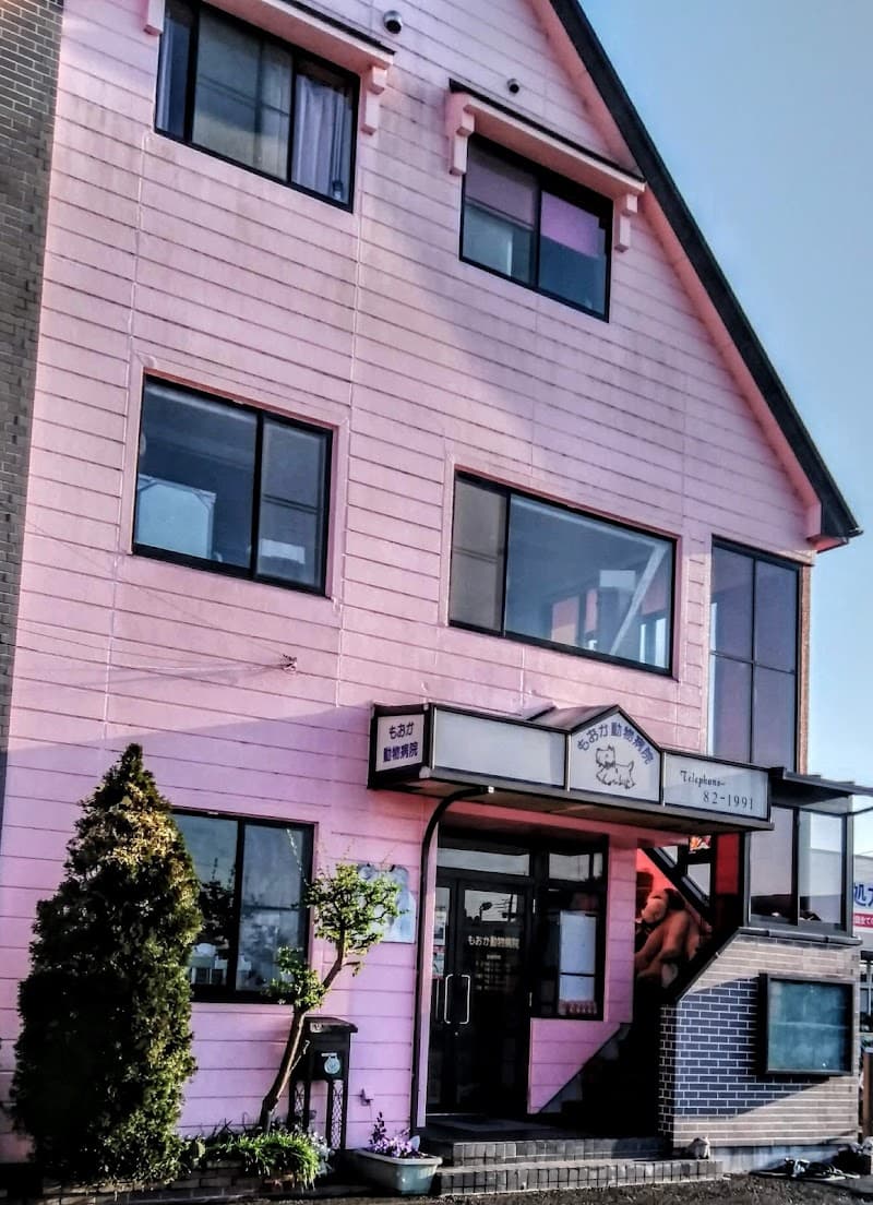 もおか動物病院