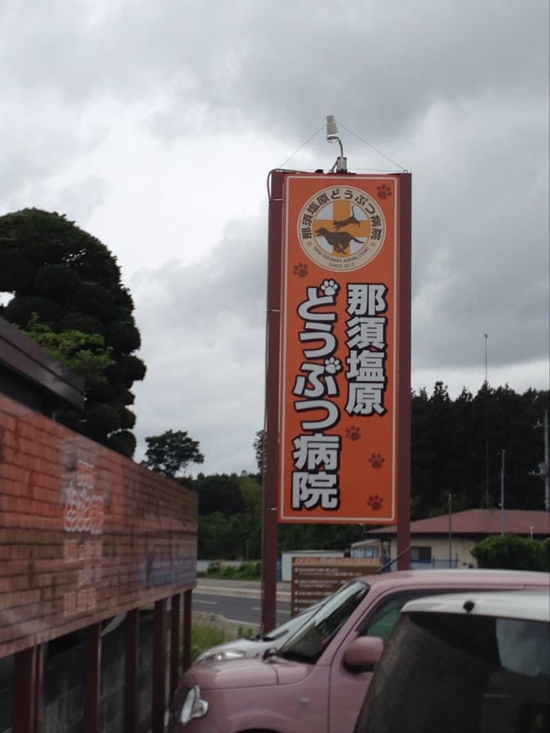 那須塩原どうぶつ病院