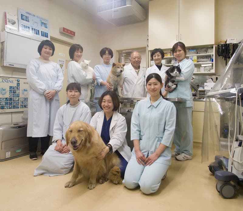 後藤アニマルホスピタル (旧名: 後藤愛犬病院)