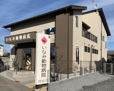 いなみ動物病院
