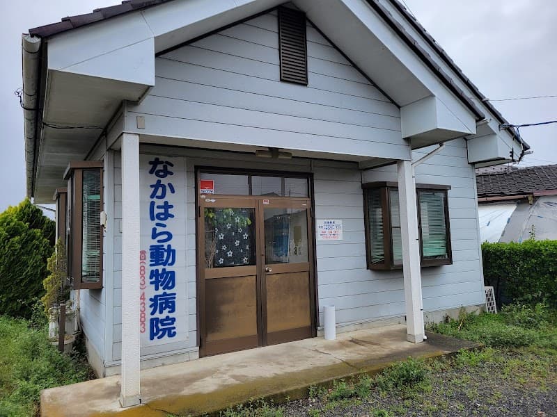 なかはら動物病院