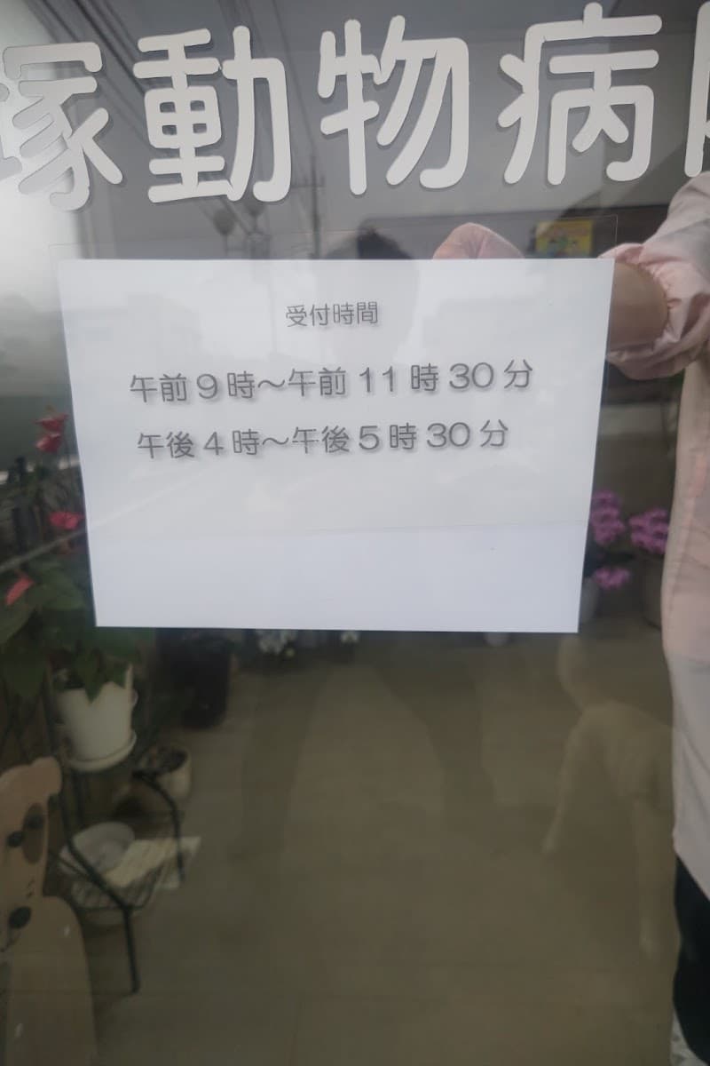 飯塚動物病院