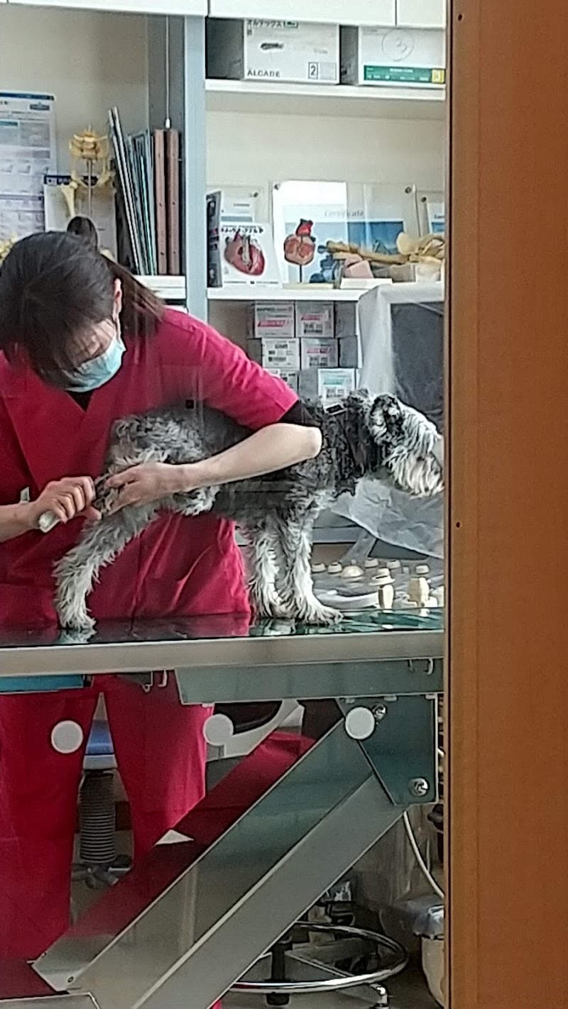 鈴木どうぶつ病院