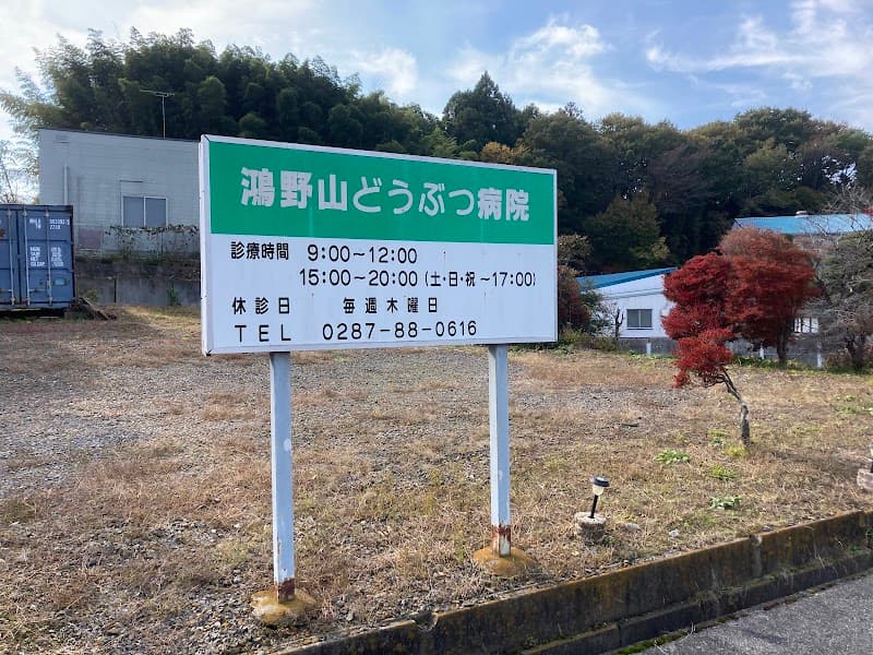 鴻野山どうぶつ病院