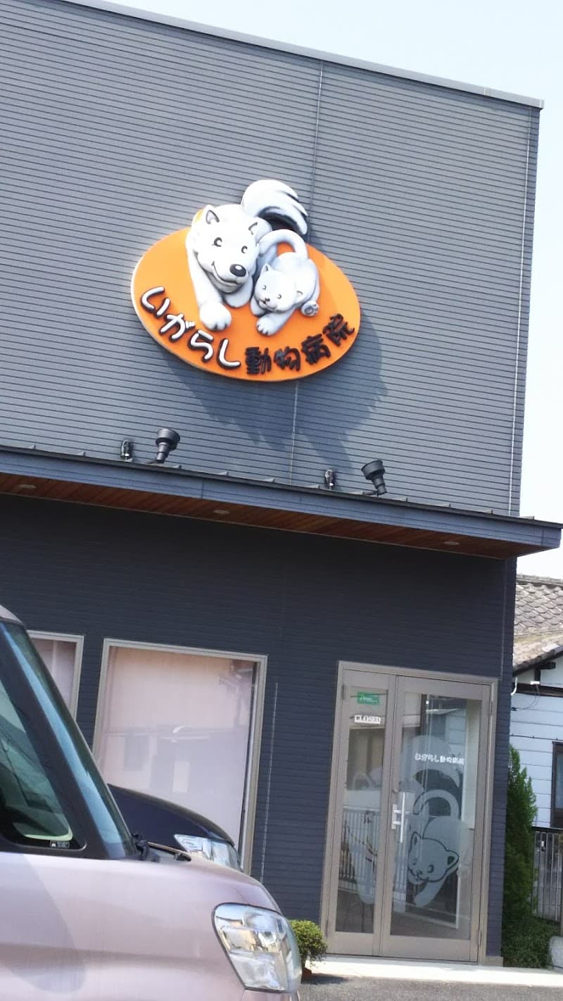 いがらし動物病院
