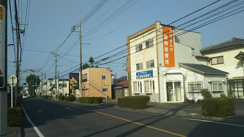 クマさんの動物診療所