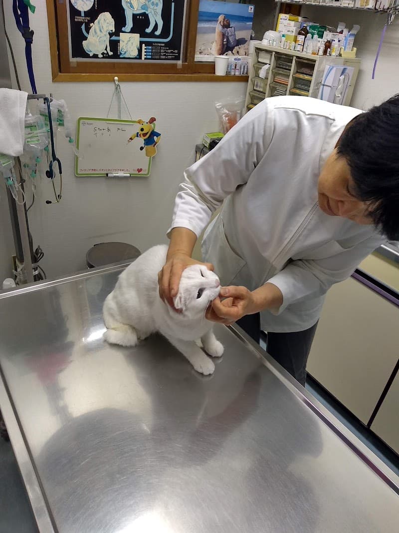 クワバラ総合動物病院