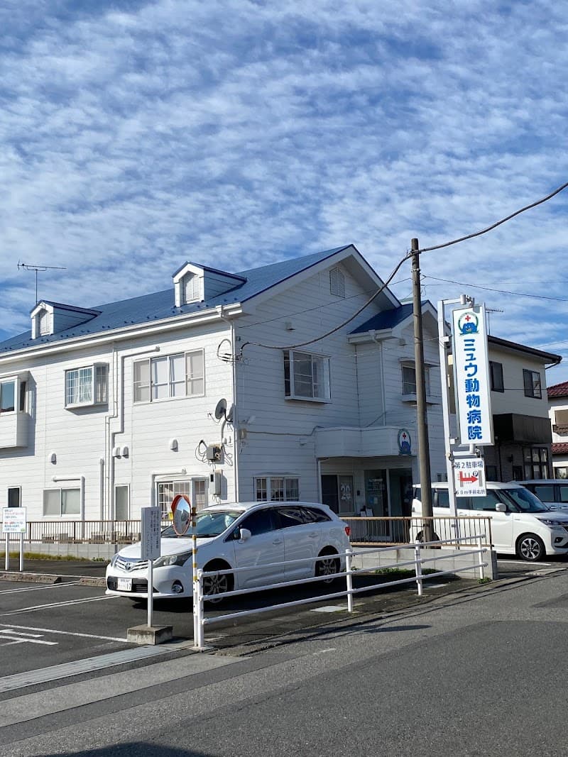 ミュウ動物病院