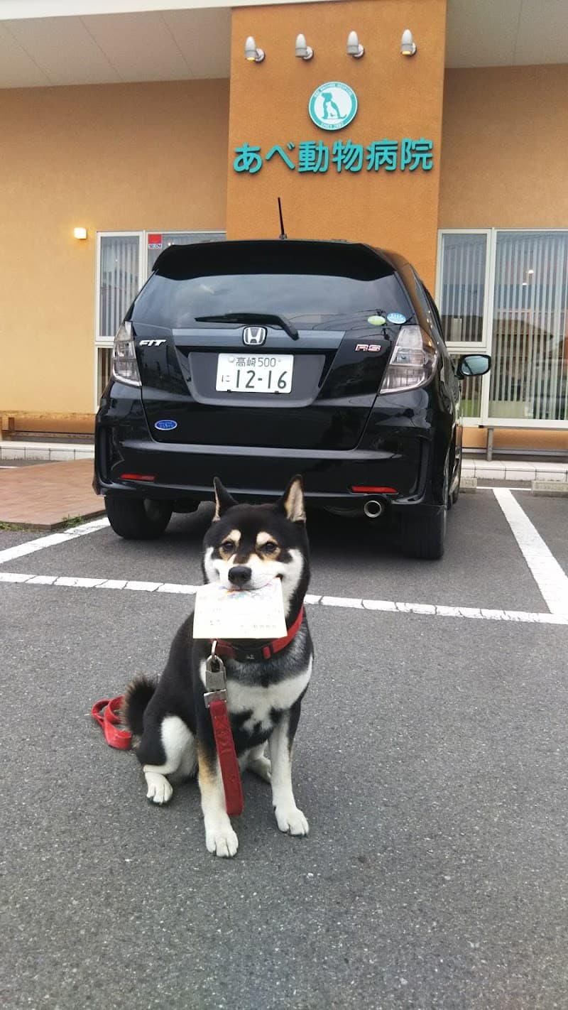 あべ動物病院
