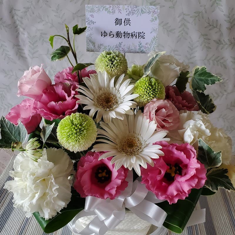 ゆら動物病院