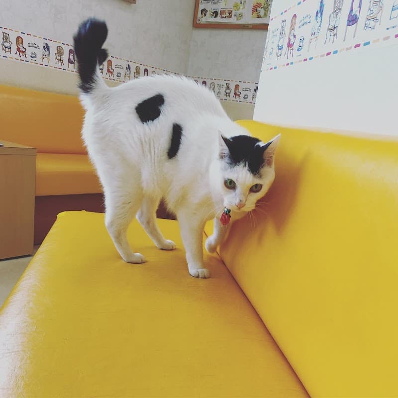 いたくら動物病院