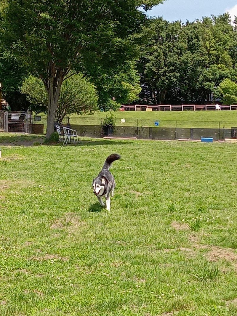 伊勢崎動物医療センター