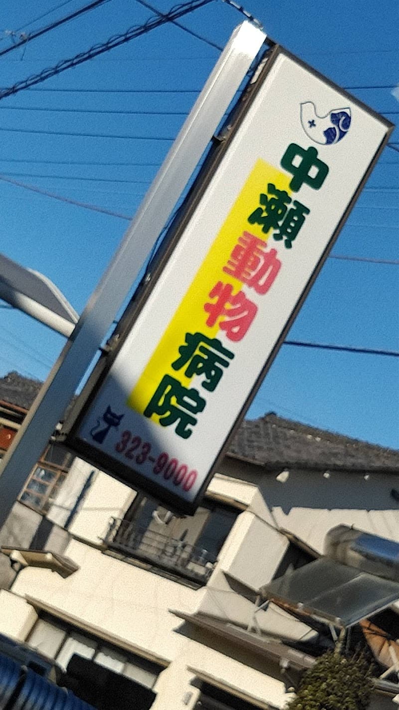 中瀬動物病院