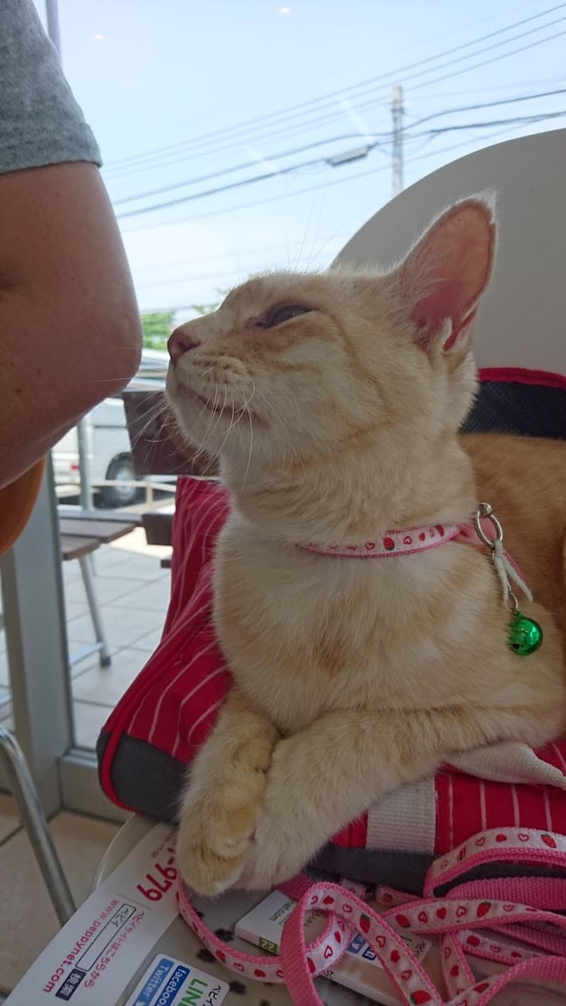 関根動物病院