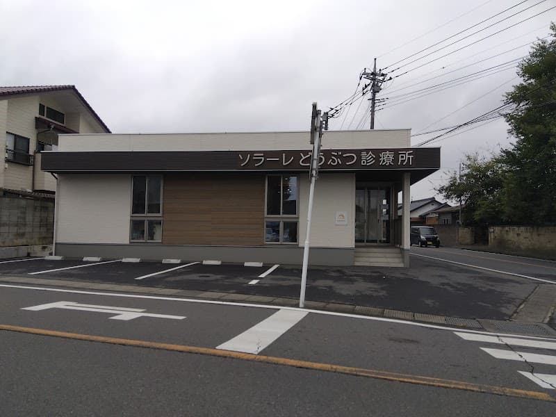 ソラーレどうぶつ診療所