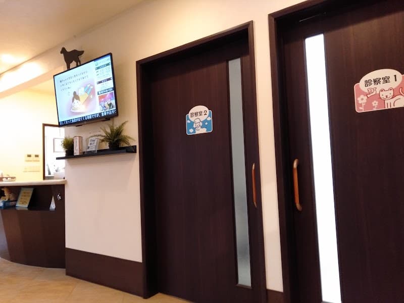 おかべどうぶつ病院