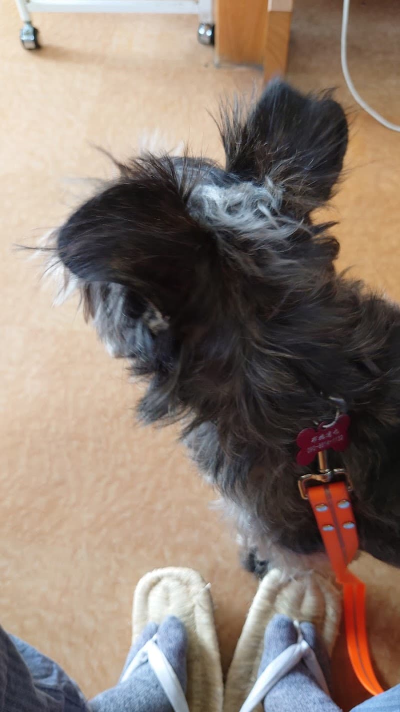 みかぼ動物病院