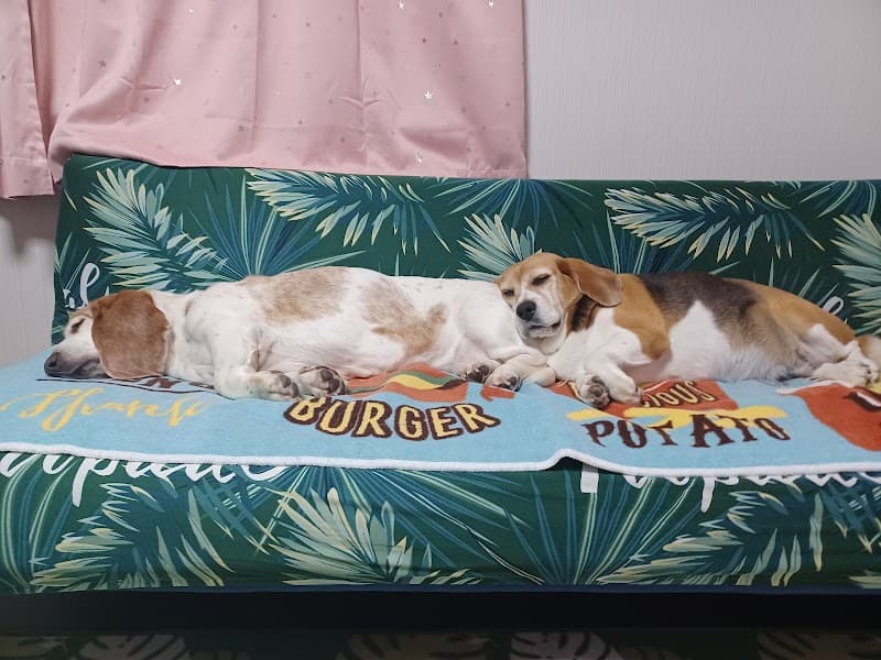 かたの動物病院