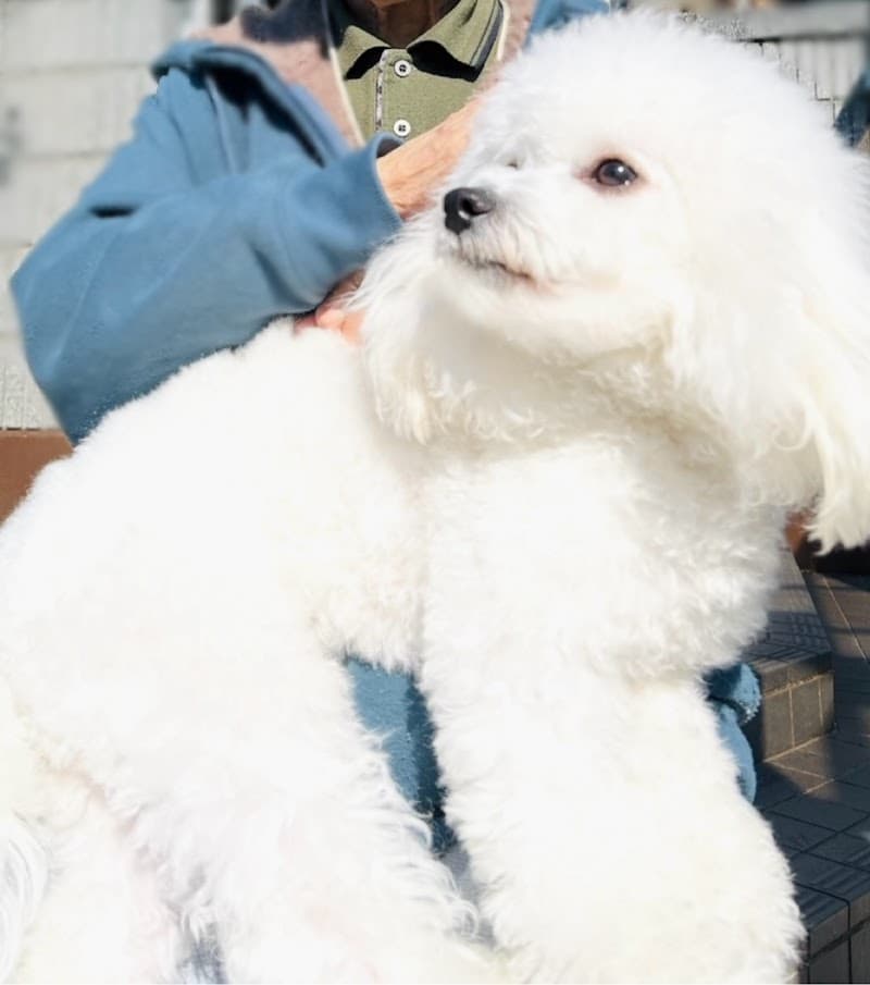 アニマルクリニック・アスカ