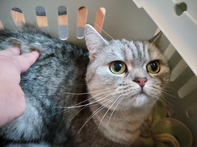 はぎわらペットクリニック