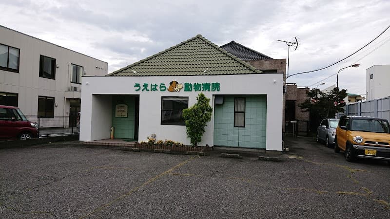 うえはら動物病院