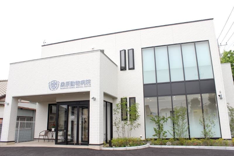 桑原動物病院