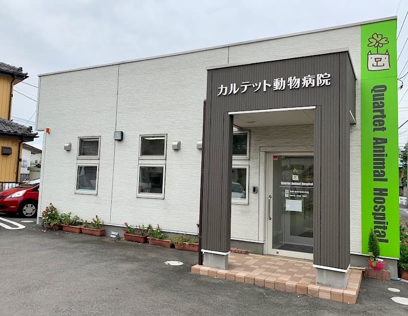 カルテット動物病院