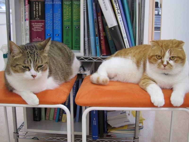 こまいぎペットクリニック