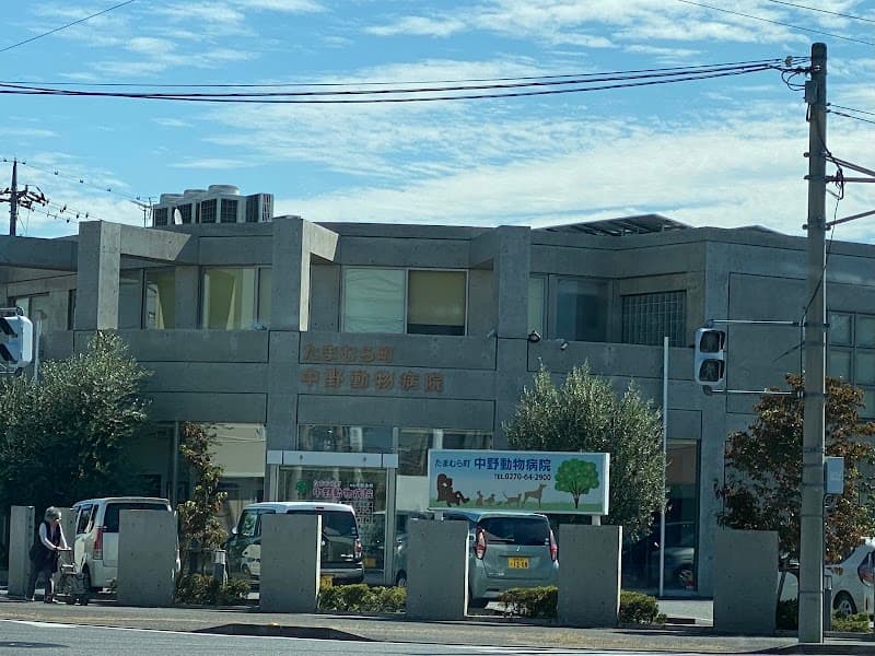 たまむら町 中野動物病院