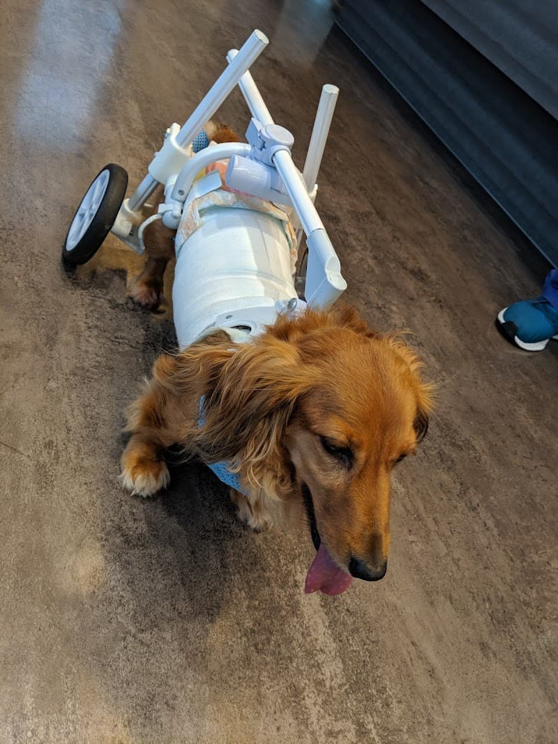 獣医神経病クリニック