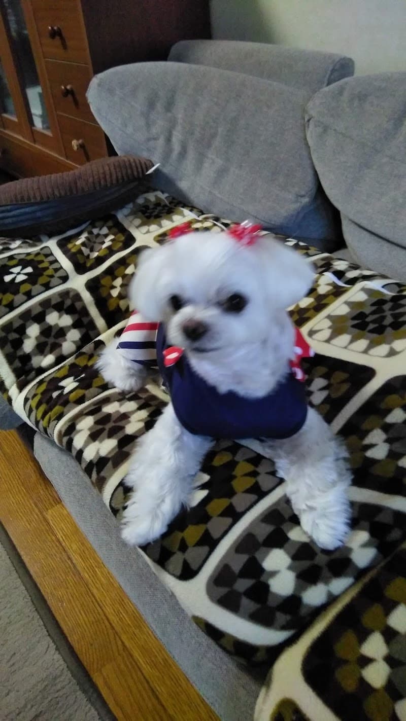 アルバート動物病院