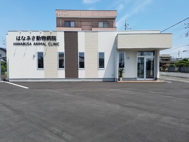 はなぶさ動物病院