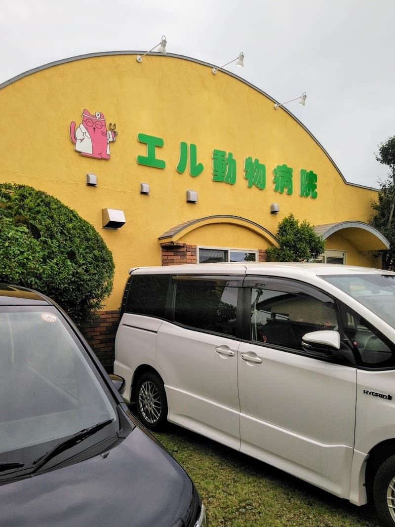 エル動物病院