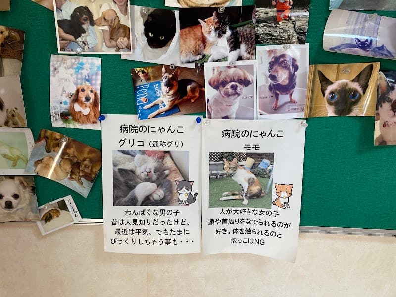 アカツキ動物病院