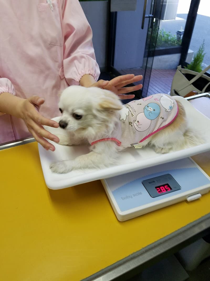 桐生中央動物病院