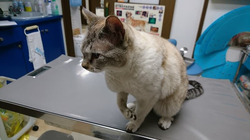 アミ動物病院