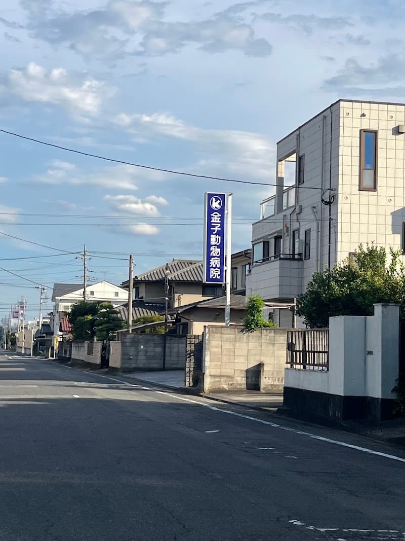 金子動物病院