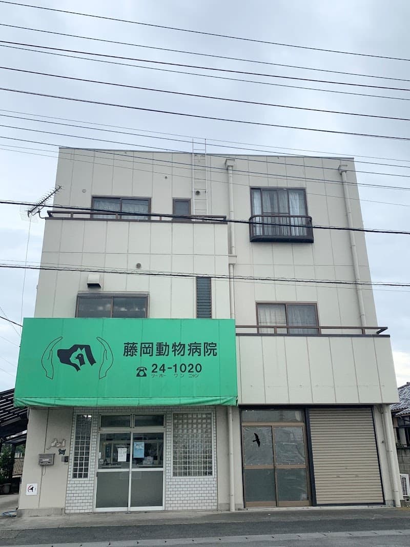 藤岡動物病院