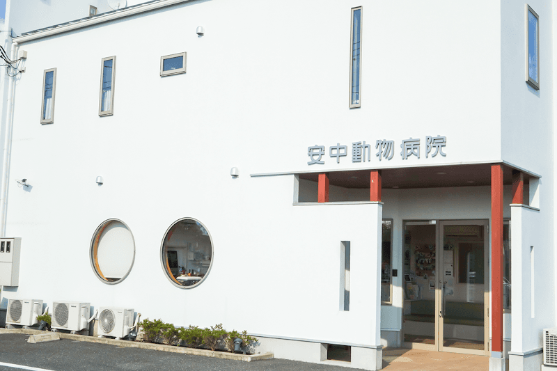 安中動物病院