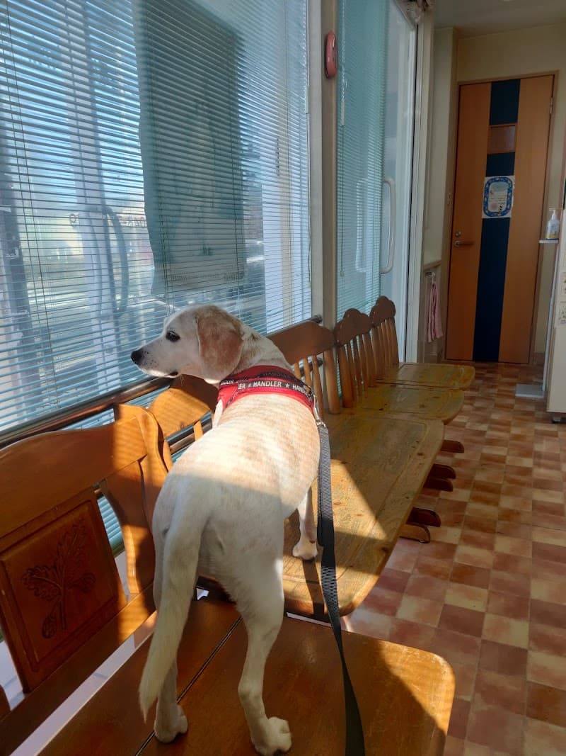 やました動物病院