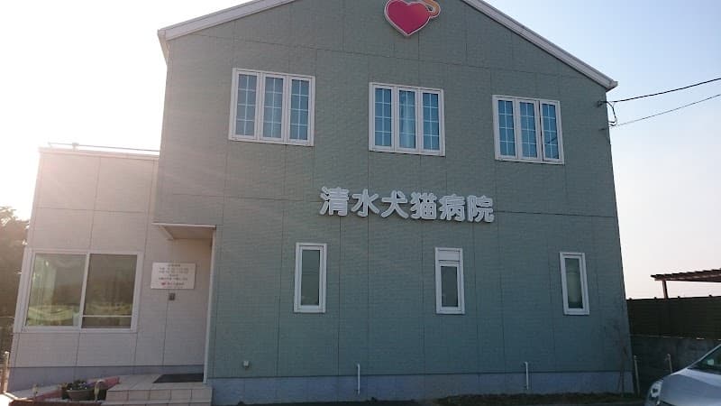 清水犬猫病院