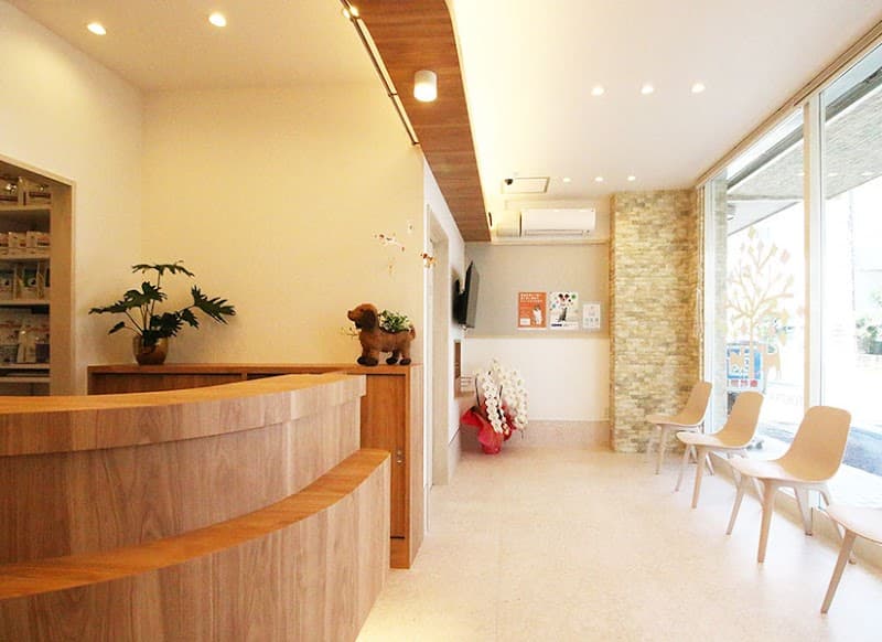 常盤どうぶつ病院