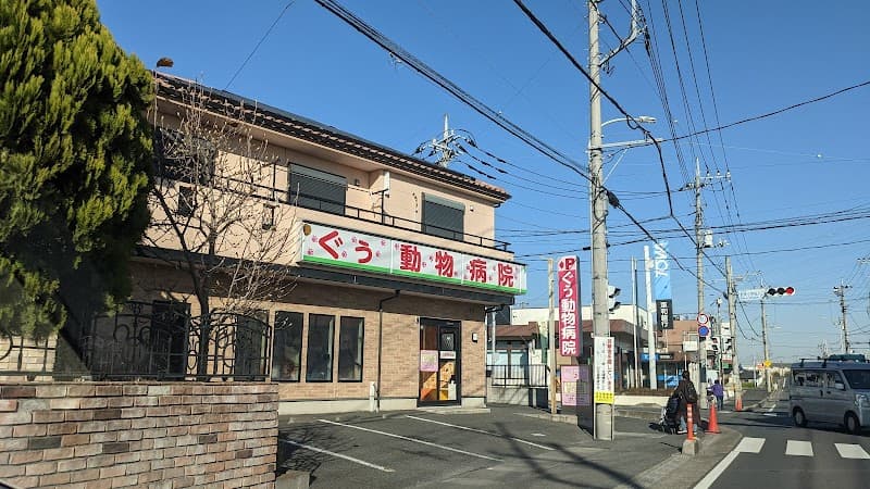 ぐぅ動物病院