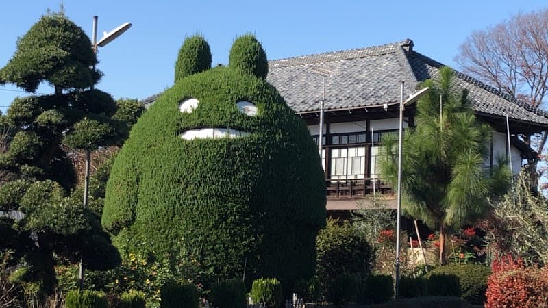 石井どうぶつ病院