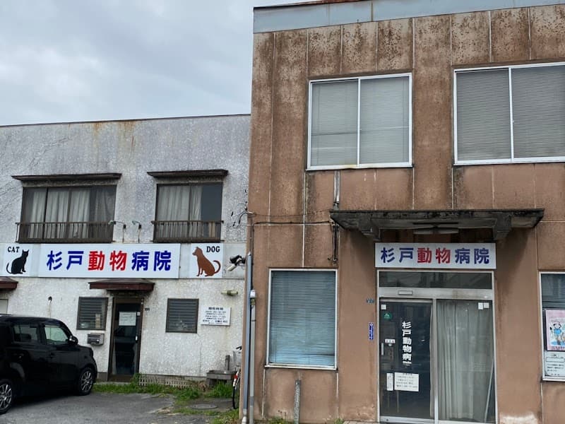 杉戸動物病院