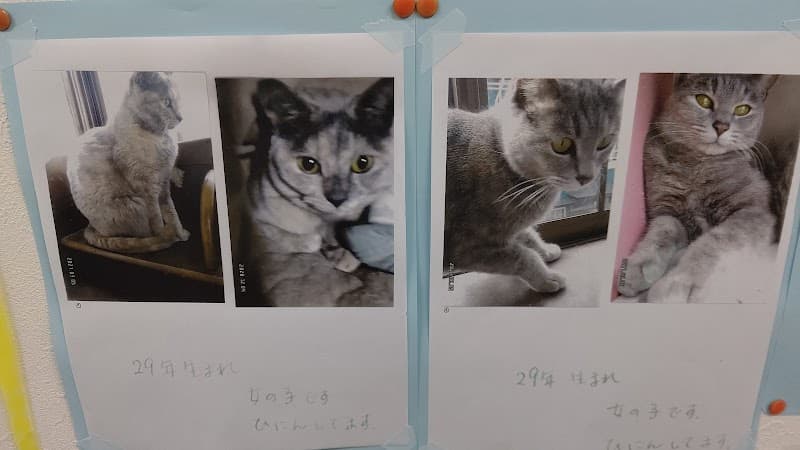 ウスキ動物病院